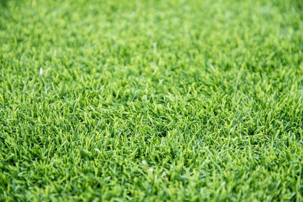 Soft artificial turf: the best technology for the comfort of your home